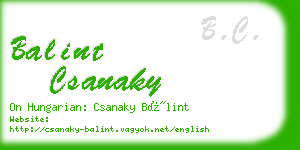 balint csanaky business card